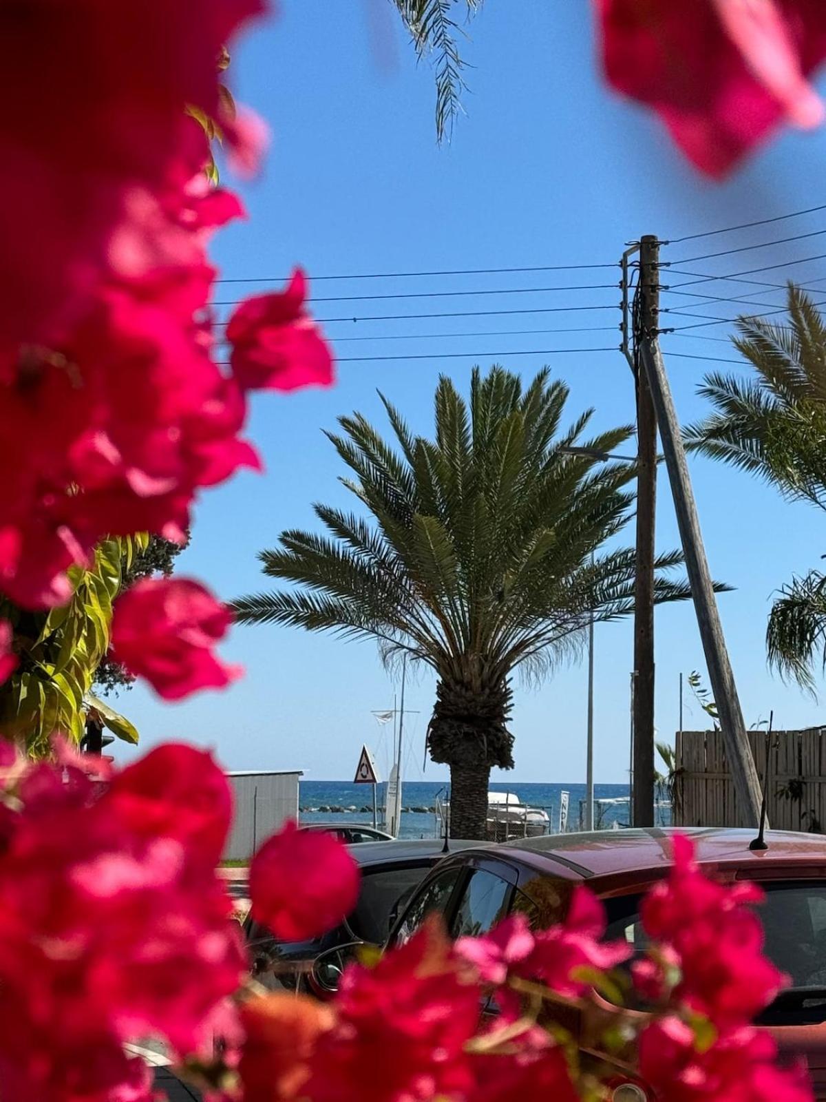 Seaside Serenity Villa Larnaca Eksteriør billede