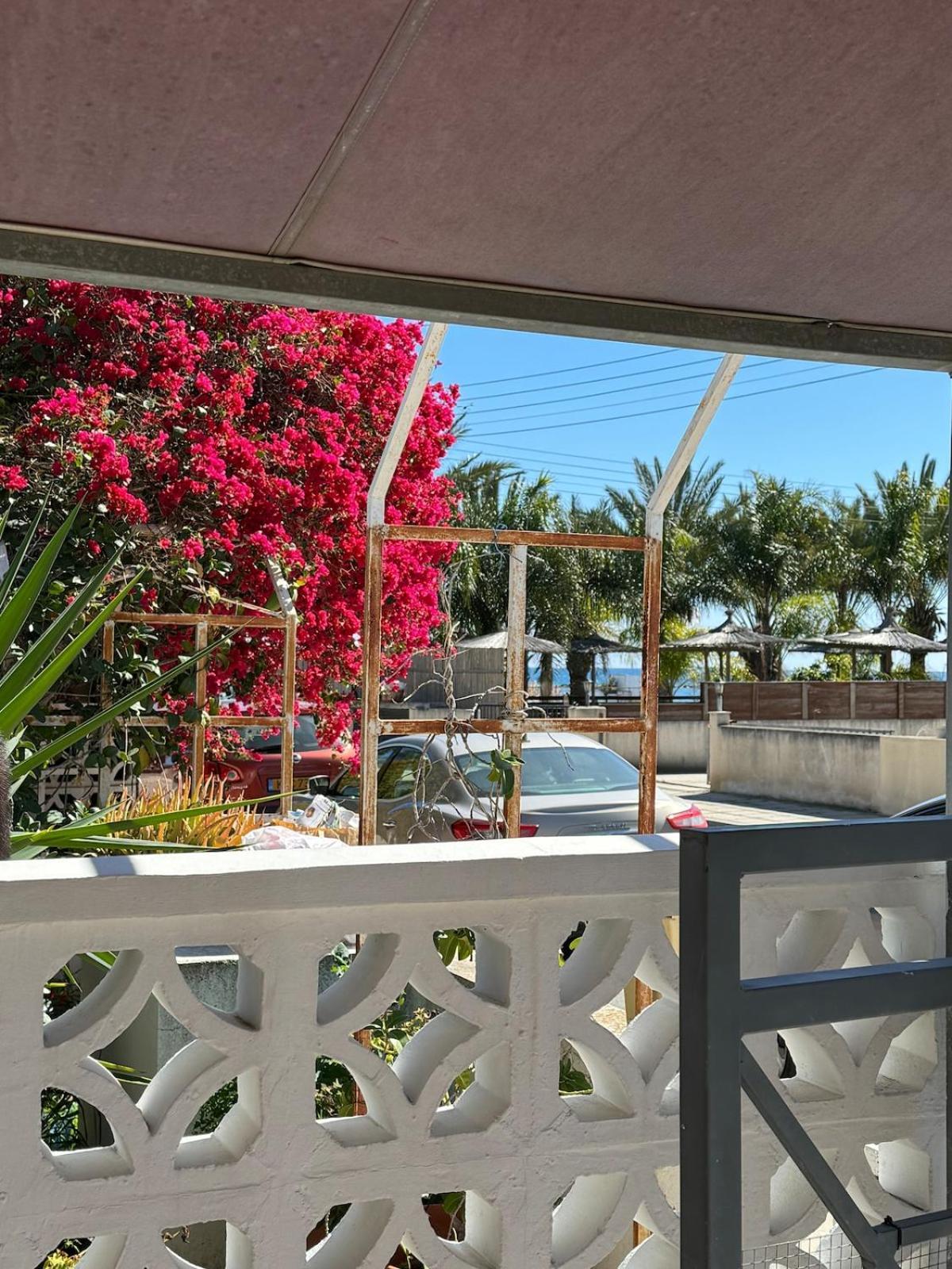 Seaside Serenity Villa Larnaca Eksteriør billede