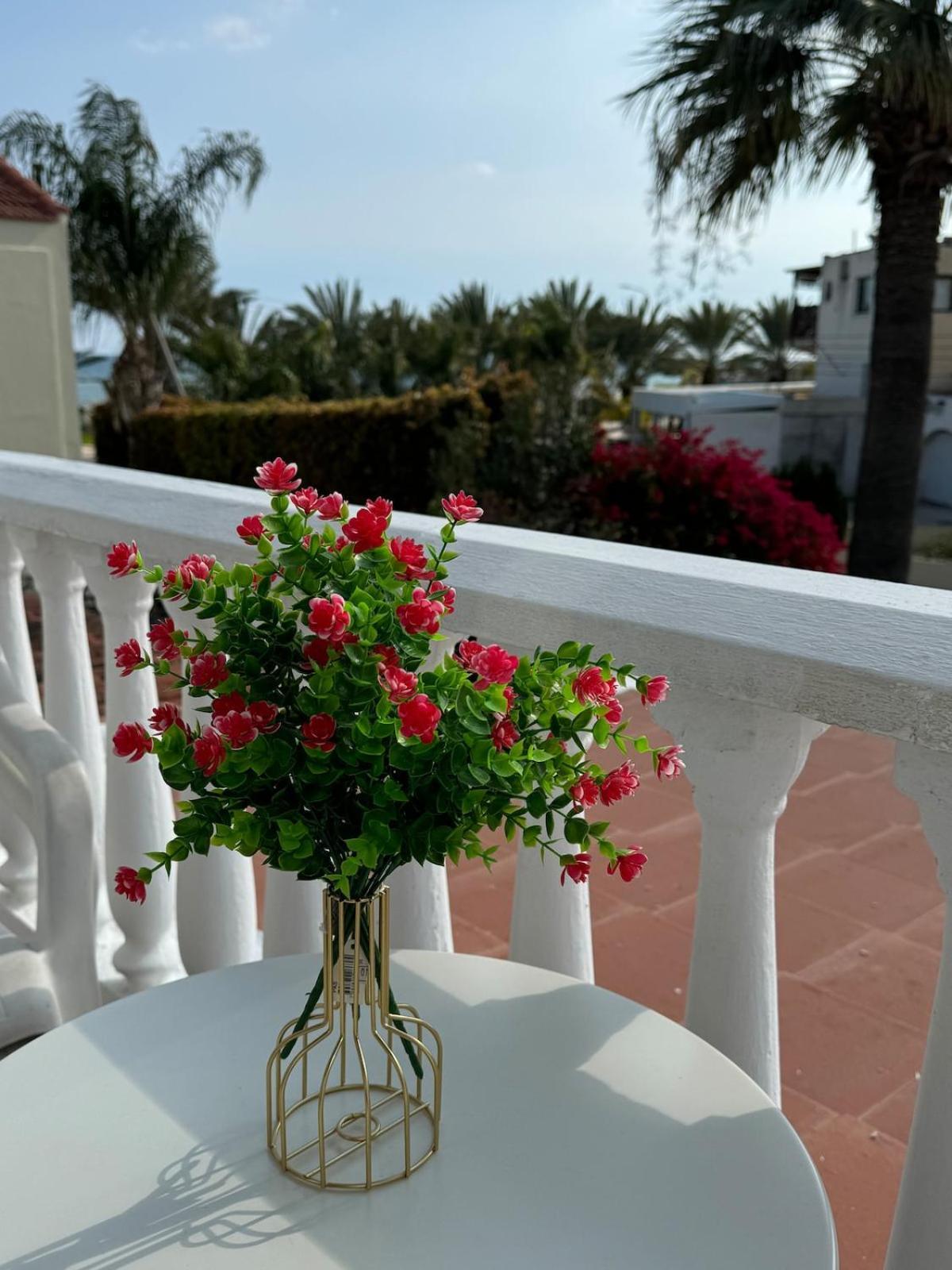 Seaside Serenity Villa Larnaca Eksteriør billede