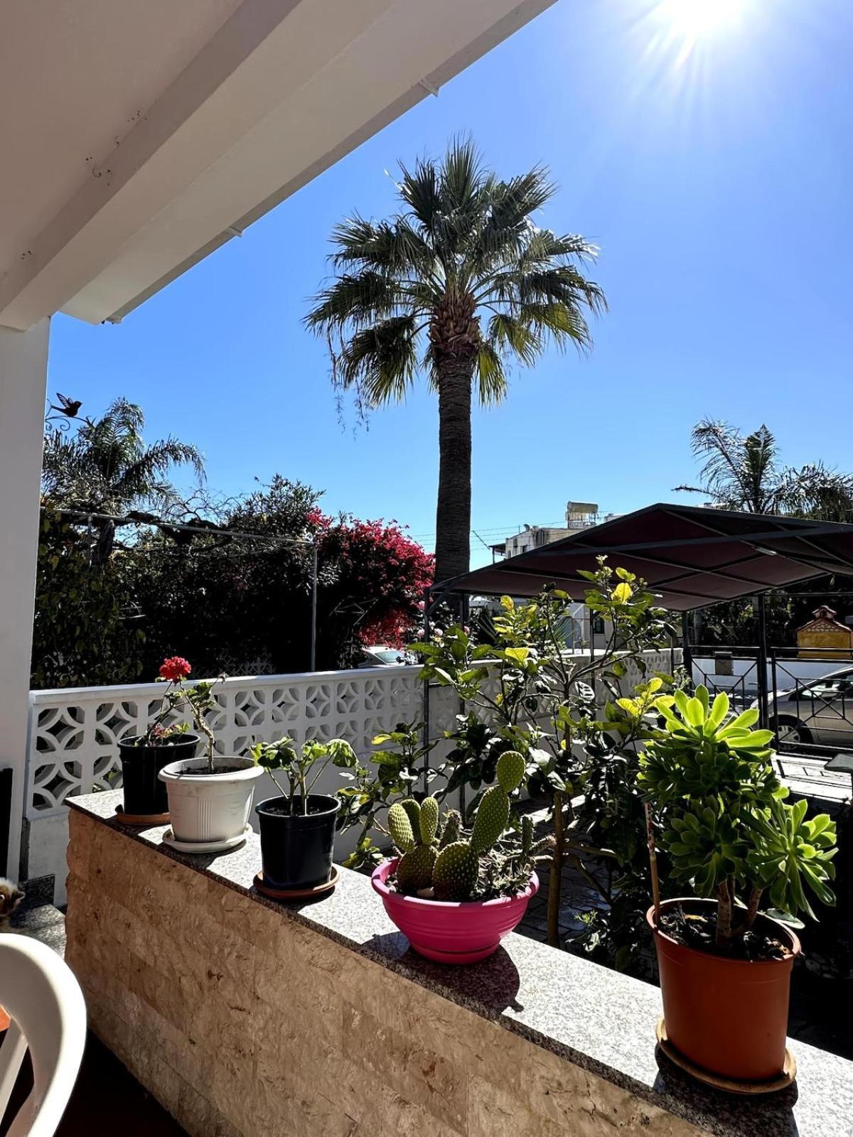 Seaside Serenity Villa Larnaca Eksteriør billede